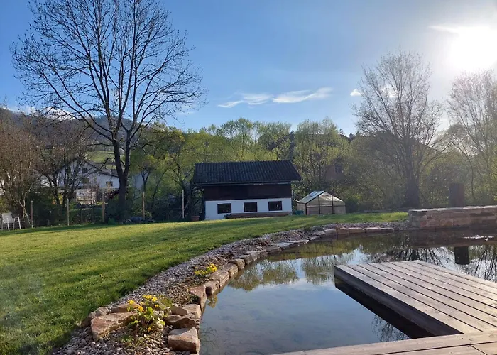 Am Teich Appartement *